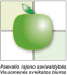 Pasvalio rajono savivaldybės Visuomenės sveikatos biuras Logo